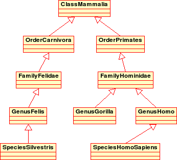 Animal Taxonomy