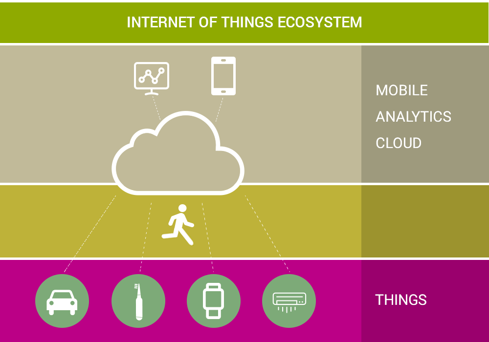 IoT Ecosystem